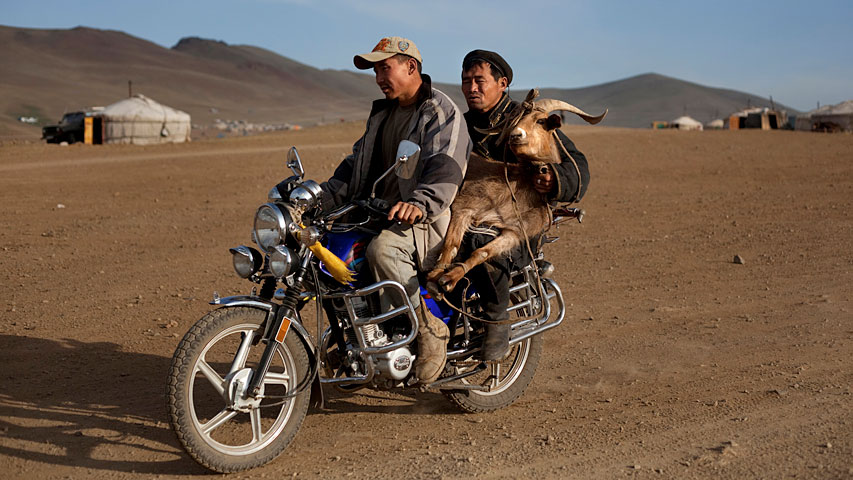 [Interactive:The Ninja Miners Of Mongolia]