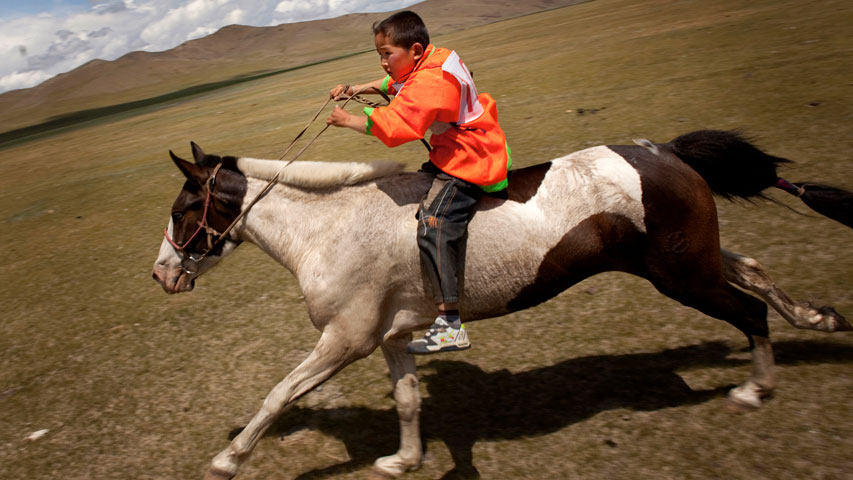 [Interactive:Horse Race Evokes Genghis Khan]