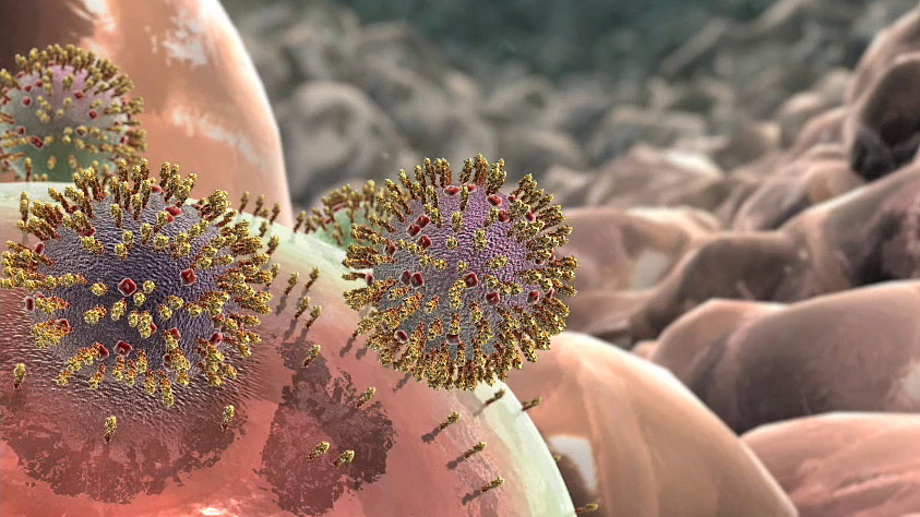 [Interactive:Flu Attack! How A Virus Invades Your Body]